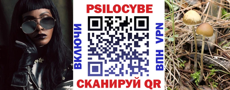 Галлюциногенные грибы GOLDEN TEACHER  где продают   Мамадыш 